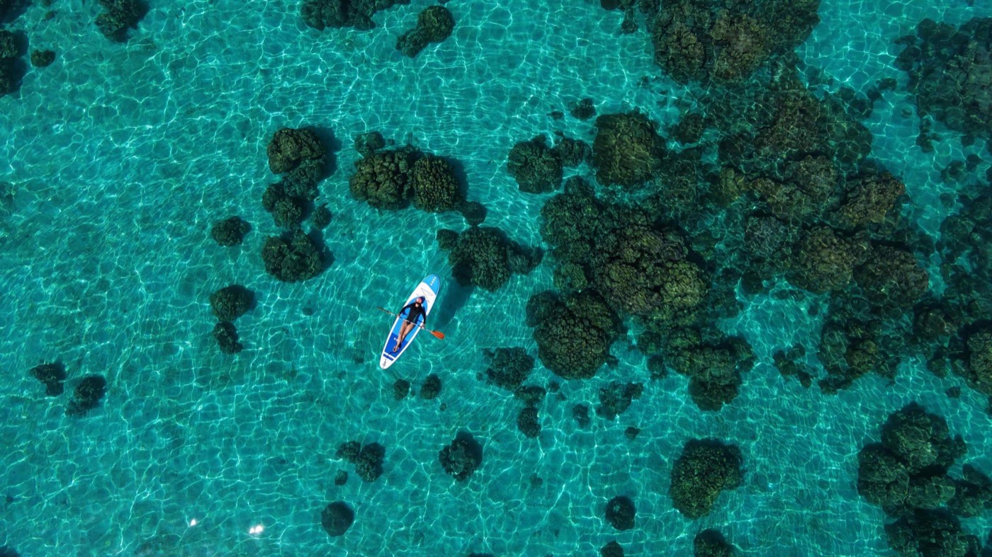 Paddle board above corals, seen from above
